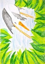 Risnyovszká Réka.jpg